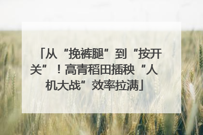 从“挽裤腿”到“按开关”！高青稻田插秧“人机大战”效率拉满