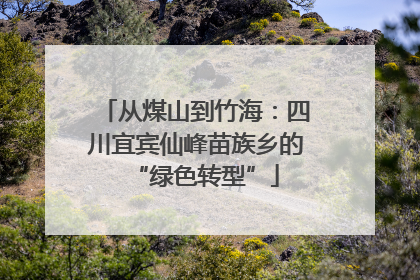 从煤山到竹海：四川宜宾仙峰苗族乡的“绿色转型”