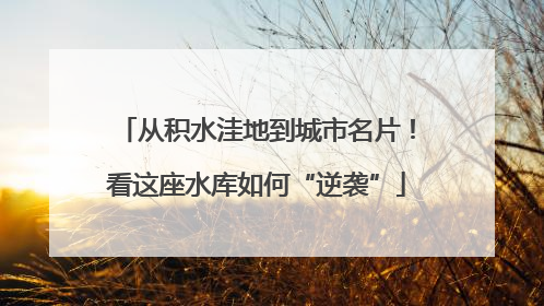 从积水洼地到城市名片！看这座水库如何“逆袭”