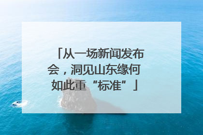 从一场新闻发布会，洞见山东缘何如此重“标准”