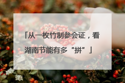 从一枚竹制参会证，看湖南节能有多“拼”