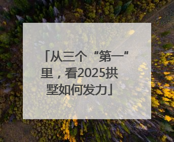 从三个“第一”里，看2025拱墅如何发力
