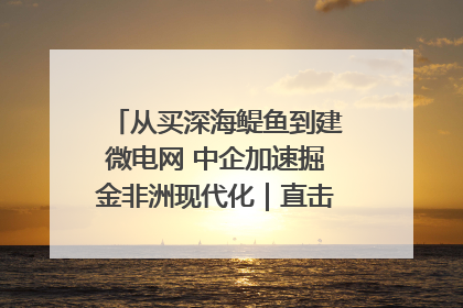 从买深海鳀鱼到建微电网 中企加速掘金非洲现代化｜直击中非经贸博览会