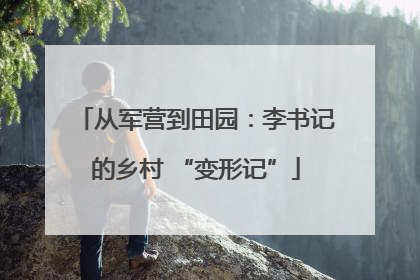 从军营到田园：李书记的乡村 “变形记”
