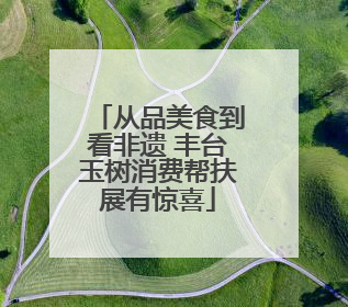 从品美食到看非遗 丰台玉树消费帮扶展有惊喜