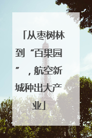 从枣树林到“百果园”，航空新城种出大产业