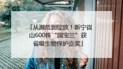 从濒危到绽放！新宁崀山600株“国宝兰”获省级生物保护嘉奖