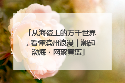 从海瓷上的万千世界，看懂滨州浪漫｜潮起渤海・网聚黄蓝