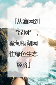 从渔网到“绿网”，蔡甸桐湖网住绿色生态经济