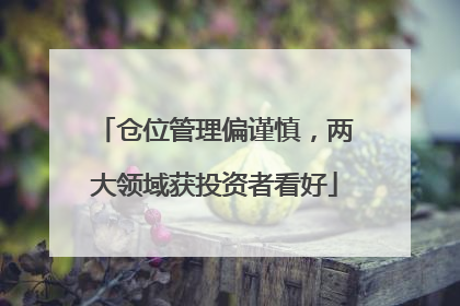 仓位管理偏谨慎，两大领域获投资者看好