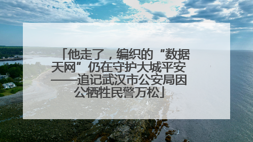 他走了，编织的“数据天网”仍在守护大城平安——追记武汉市公安局因公牺牲民警万松