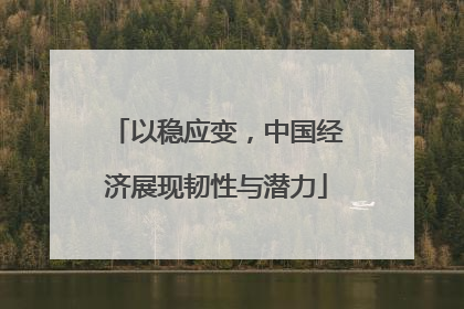 以稳应变,中国经济展现韧性与潜力