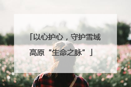 以心护心，守护雪域高原“生命之脉”