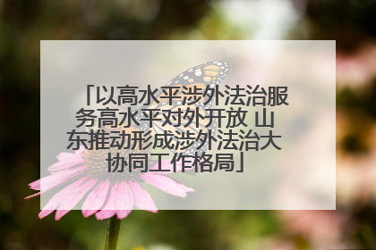以高水平涉外法治服务高水平对外开放 山东推动形成涉外法治大协同工作格局