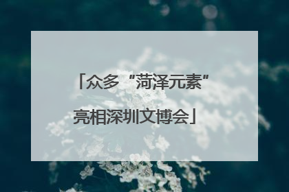 众多“菏泽元素”亮相深圳文博会