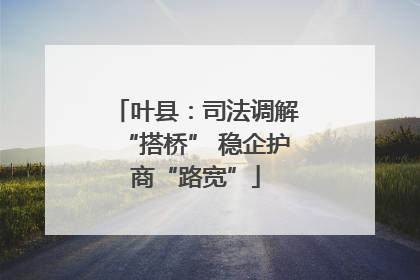 叶县：司法调解“搭桥” 稳企护商“路宽”
