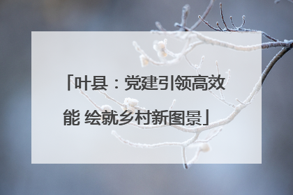叶县：党建引领高效能 绘就乡村新图景