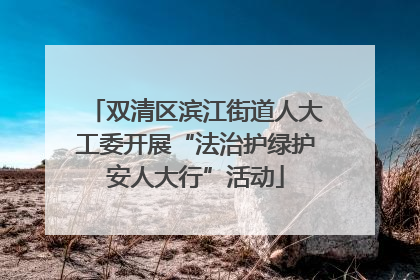 双清区滨江街道人大工委开展“法治护绿护安人大行”活动