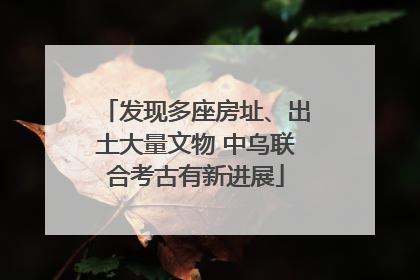 发现多座房址、出土大量文物 中乌联合考古有新进展