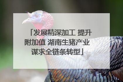 发展精深加工 提升附加值 湖南生猪产业谋求全链条转型