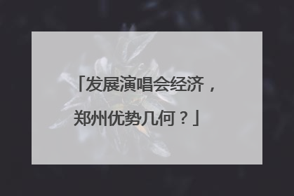 发展演唱会经济，郑州优势几何？