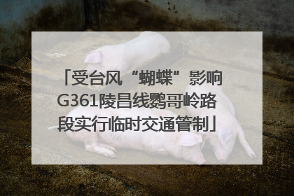 受台风“蝴蝶”影响 G361陵昌线鹦哥岭路段实行临时交通管制