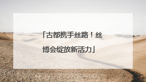 古都携手丝路！丝博会绽放新活力