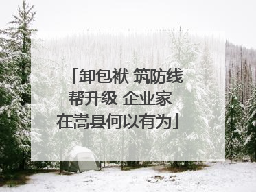 卸包袱 筑防线 帮升级 企业家在嵩县何以有为