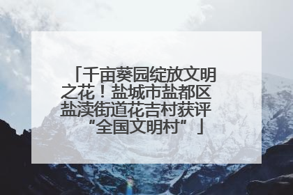 千亩葵园绽放文明之花！盐城市盐都区盐渎街道花吉村获评“全国文明村”