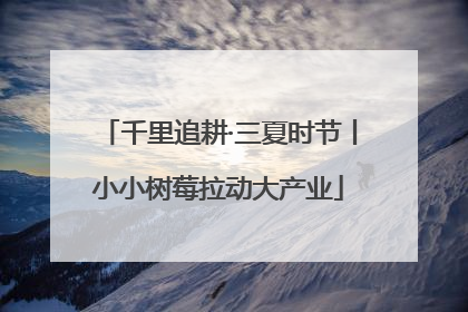千里追耕·三夏时节丨小小树莓拉动大产业
