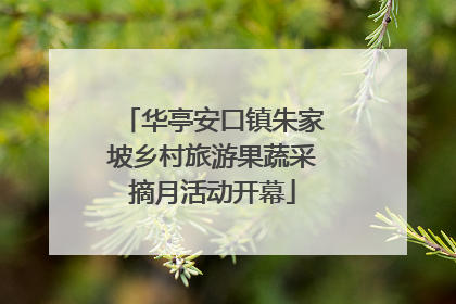 华亭安口镇朱家坡乡村旅游果蔬采摘月活动开幕