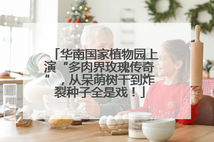 华南国家植物园上演“多肉界玫瑰传奇”，从呆萌树干到炸裂种子全是戏！