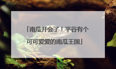 南瓜开会了！平谷有个可可爱爱的南瓜王国