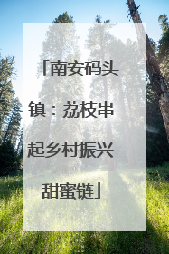 南安码头镇：荔枝串起乡村振兴甜蜜链