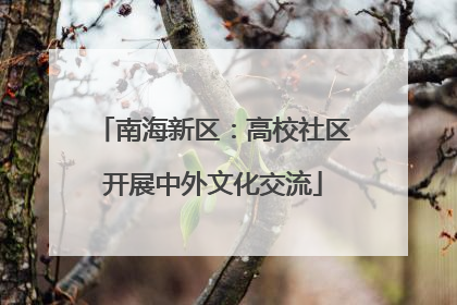南海新区：高校社区开展中外文化交流