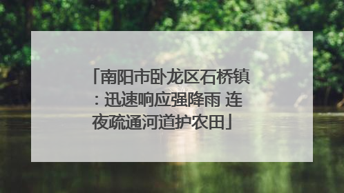 南阳市卧龙区石桥镇：迅速响应强降雨 连夜疏通河道护农田