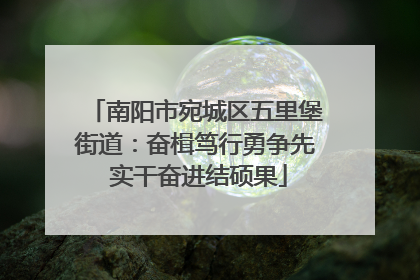 南阳市宛城区五里堡街道：奋楫笃行勇争先 实干奋进结硕果