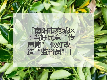 南阳市宛城区：当好民意“传声筒” 做好改造“监督员”