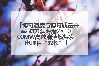 博奇速度与博奇质量并举 助力滨海港2×1000MW高效清洁燃煤发电项目“双投”