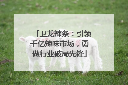 卫龙辣条：引领千亿辣味市场，勇做行业破局先锋