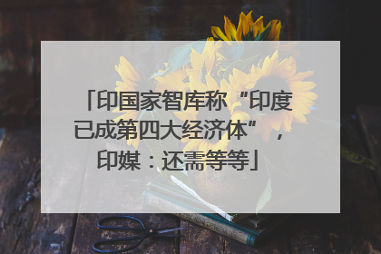 印国家智库称“印度已成第四大经济体”，印媒：还需等等