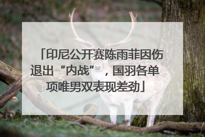印尼公开赛陈雨菲因伤退出“内战”，国羽各单项唯男双表现差劲