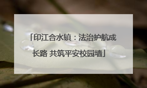 印江合水镇：法治护航成长路 共筑平安校园墙