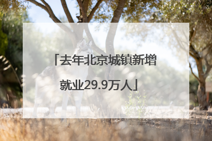 去年北京城镇新增就业29.9万人