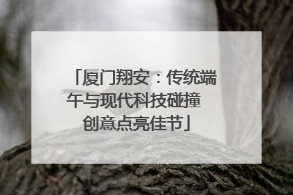 厦门翔安：传统端午与现代科技碰撞 创意点亮佳节