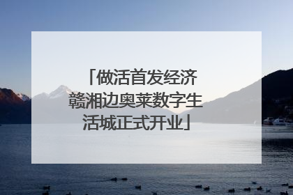做活首发经济 赣湘边奥莱数字生活城正式开业