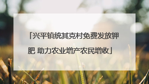 兴平镇统其克村免费发放钾肥 助力农业增产农民增收