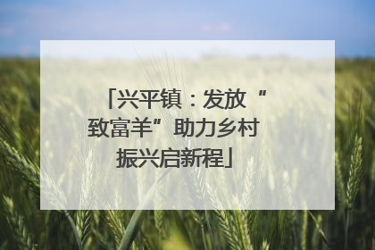兴平镇：发放“致富羊”助力乡村振兴启新程