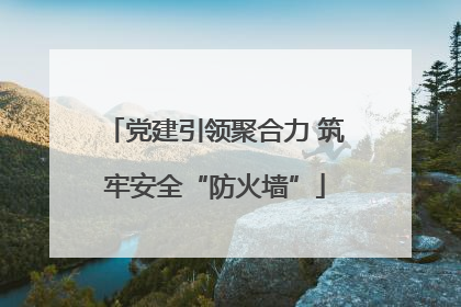 党建引领聚合力 筑牢安全“防火墙”