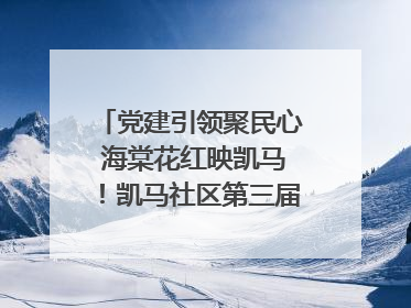 党建引领聚民心 海棠花红映凯马！凯马社区第三届邻里生活节谱写幸福新篇章